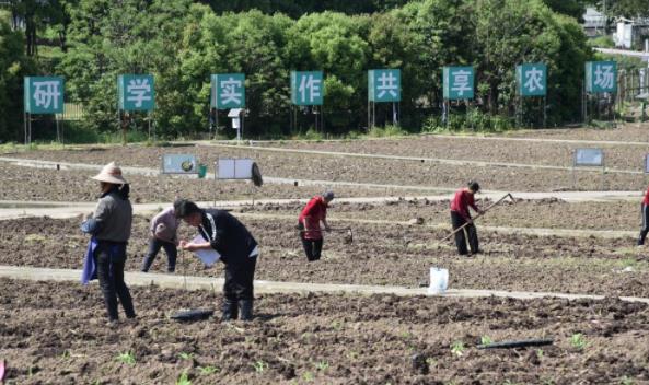 我院春耕全面启动  科技助力水稻玉米播下“希望种”