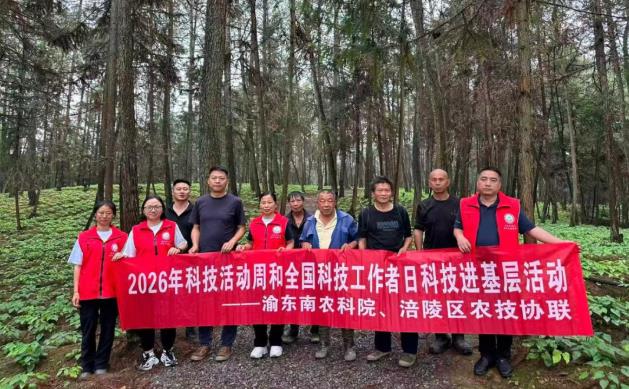 科技活动周送科技下乡 赋能中药材产业提质增效——渝东南农科院科技特派员团队深入开展中药材种植技术服务