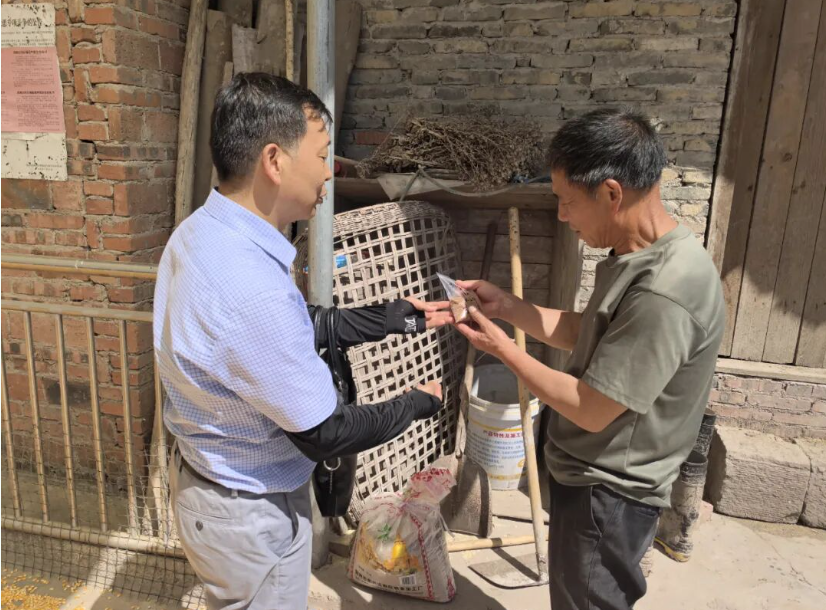 良种下乡助力红心萝卜高质量发展