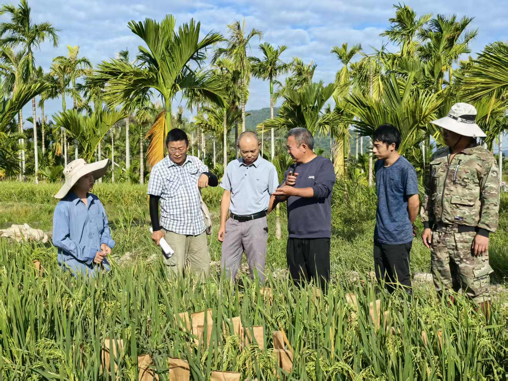 川渝同心育良种