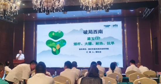 我院选育的“潞玉137”新品种发布会在四川射洪成功举办