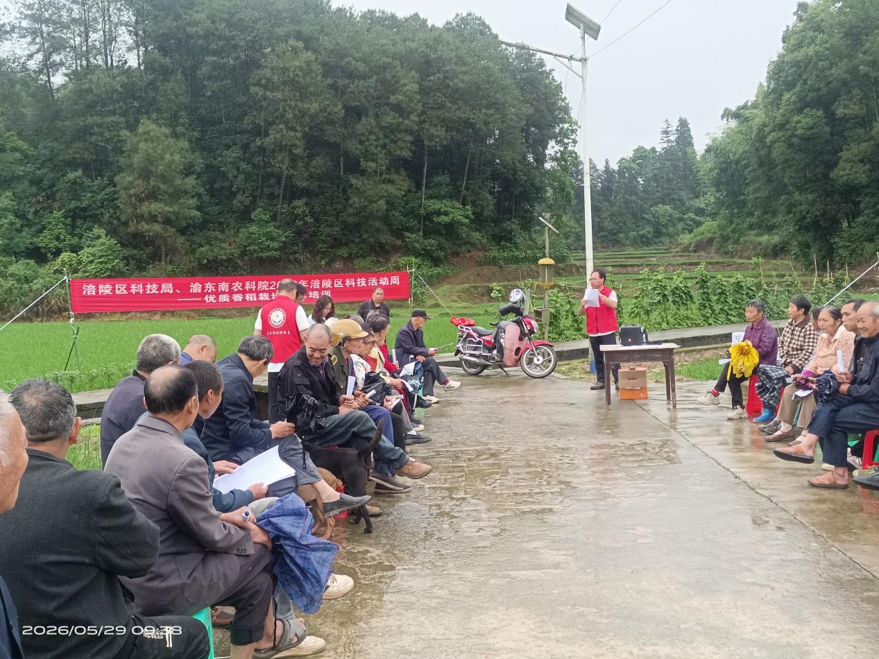 科技下乡送良方！我院水稻专家护航涪陵稻农丰产增收